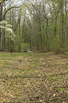 Images Dated 8th April 2011: Sunken Road, Shiloh battlefield