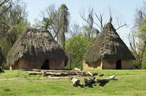 Tennessee Prints: Thatched dwellings in Chucalissa Village
