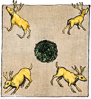 Iroquois Prints: Totem, or tribe-mark, of the Five Iroquuois Nations