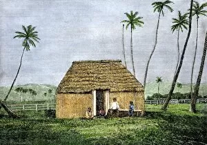 Hawaii Collection: Traditional Hawaiian home, 1800s