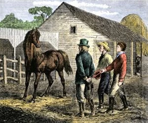 Farming:agriculture Gallery: Training a young horse, 1800s