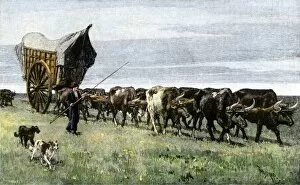 Covered Wagon Gallery: Travel on the pampas of Argentina, 1800s