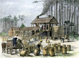 African American Prints: A turpentine distillery in North Carolina