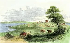 Agriculture Gallery: Vallejo, capital of California, early 1850s