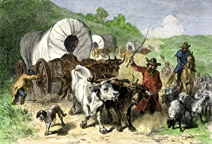 Horse Back Prints: Wagon train of pioneers moving west