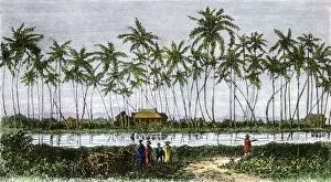 Waikiki village, Hawaii, 1870s