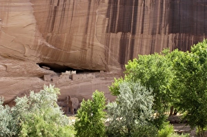 White House, ruins of an Anasazi/Ancestral Puebloan cliff-dwelling