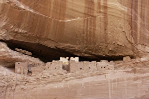 Cliff Dweller Prints: White House, ruins of an Anasazi/Ancestral Puebloan cliff-dwelling