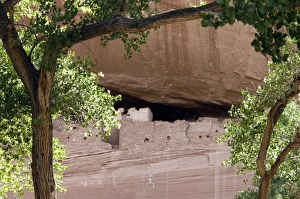 Pre Columbian Prints: White House, ruins of an Anasazi/Ancestral Puebloan cliff-dwelling