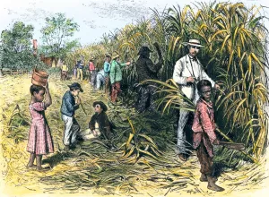 African American Prints: White overseer with African-American field-hands cutting sugar-cane