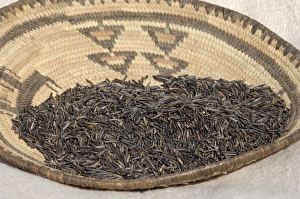 Michigan Prints: Wild rice from the Great Lakes area