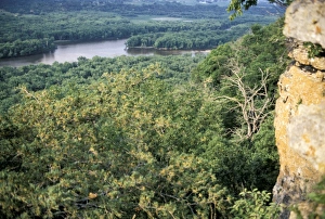 Midwestern Gallery: Wisconsin River near its Mississippi River junction