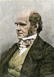 Young Charles Darwin, London