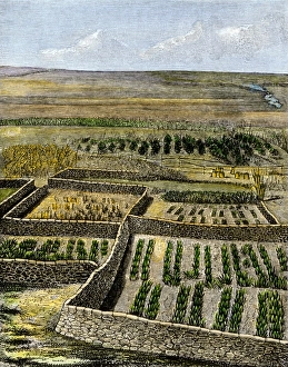 Fence Gallery: Zuni dry-farming agriculture